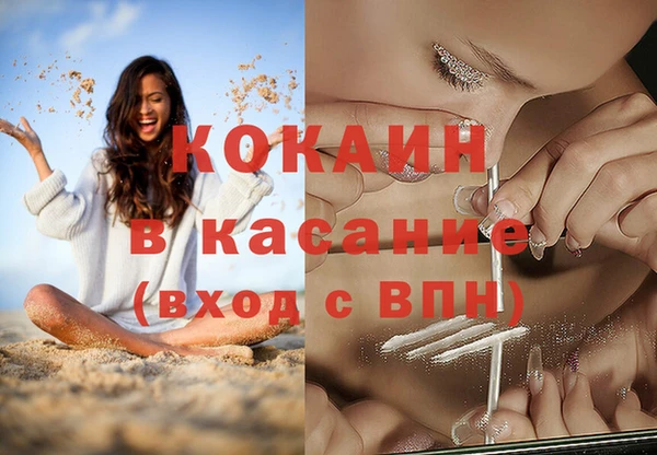 мяу мяу мука Алексеевка