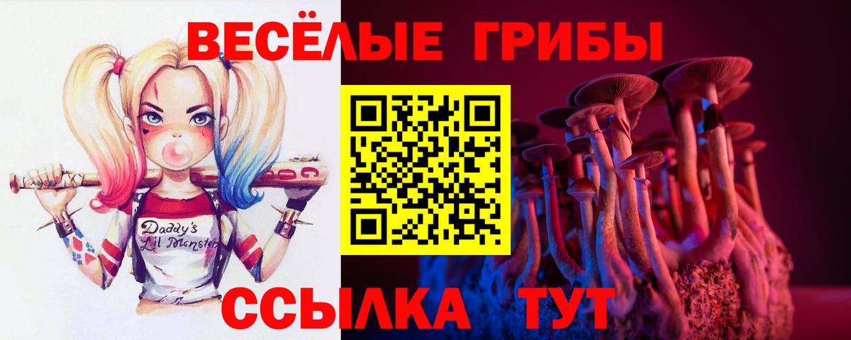 Псилоцибиновые грибы Psilocybe Йошкар-Ола